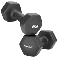 2 x 6kg