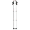 Kijki trekkingowe regulowane red - Standard K02