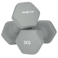 2 x 3kg